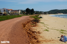 Bình Định: Xử lý trách nhiệm người đứng đầu nếu có công trình sai phạm