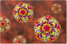 Virus cảm lạnh thông thường đã tồn tại trước khi có loài người hiện đại