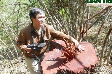 Muốn vào Vườn quốc gia Yok Đôn phải đeo thẻ