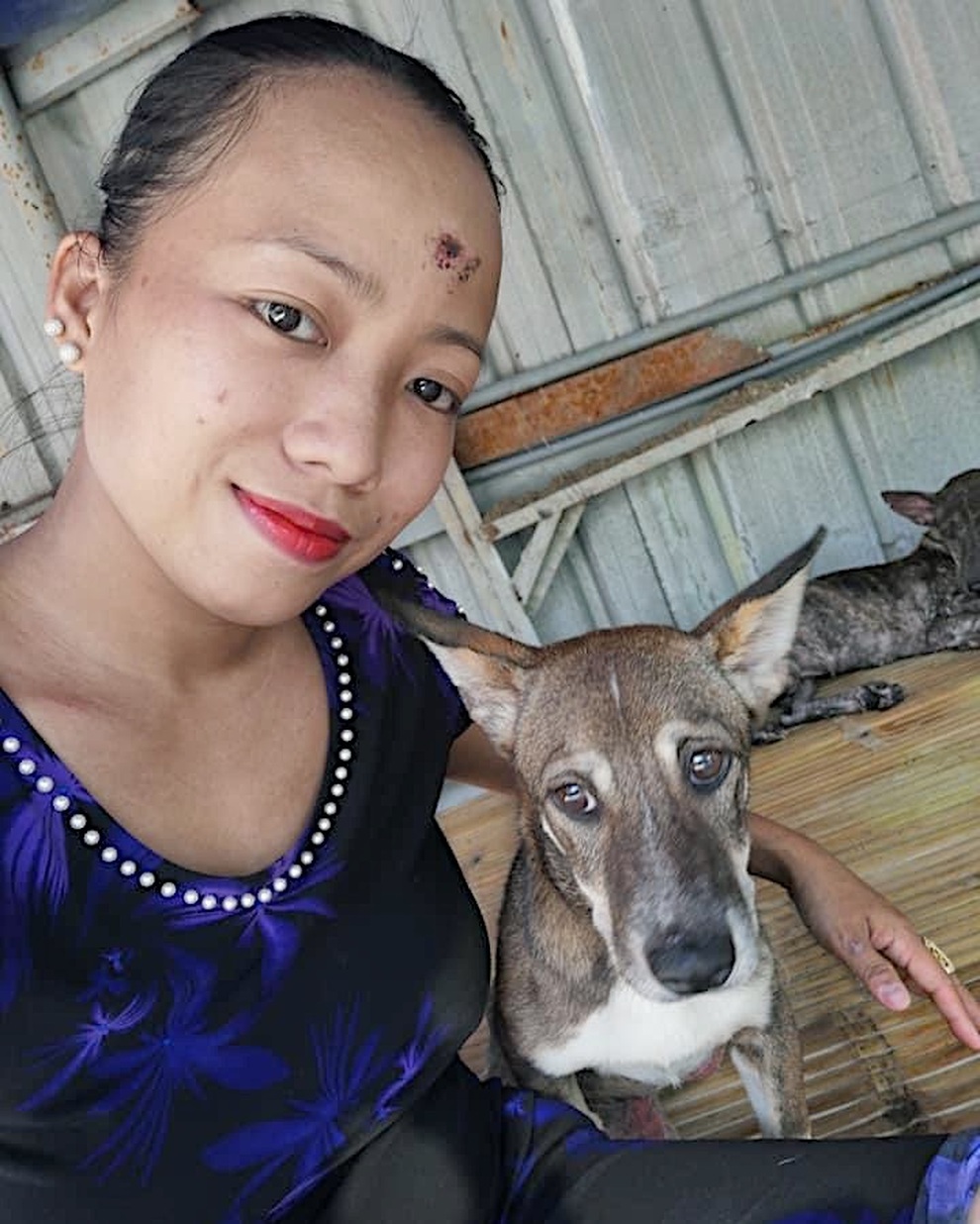 Nữ tài xế gàn mượn nợ khắp nơi để cưu mang 150 chú chó, mèo - 4 Nữ tài xế gàn mượn nợ khắp nơi để cưu mang 150 chú chó, mèo - 4