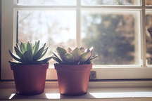 Và ta đã lớn đủ để mong mình bé lại