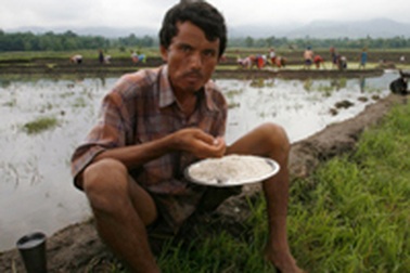 Thế giới thứ 3 lao đao trong "bão" giá lương thực 