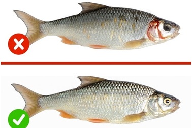 Lựa chọn thực phẩm sạch trở nên dễ dàng và hiệu quả hơn