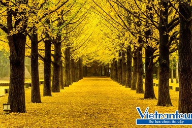 Đa dạng vẻ đẹp Thu trên khắp thế giới