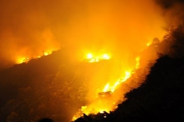 Đà Nẵng: Nguy cơ cháy rừng ở mức rất nguy hiểm