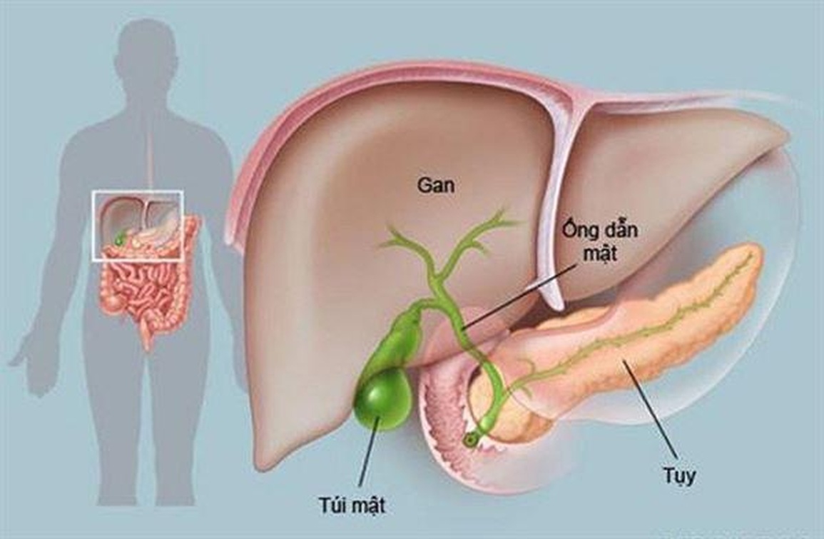 Thuốc trị huyết áp có thể giúp kiềm chế ung thư tuyến tụy? - 1 Thuốc trị huyết áp có thể giúp kiềm chế ung thư tuyến tụy? - 1
