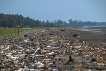 Hiện trạng khu đô thị lấn biển Cần Giờ sắp được khởi công