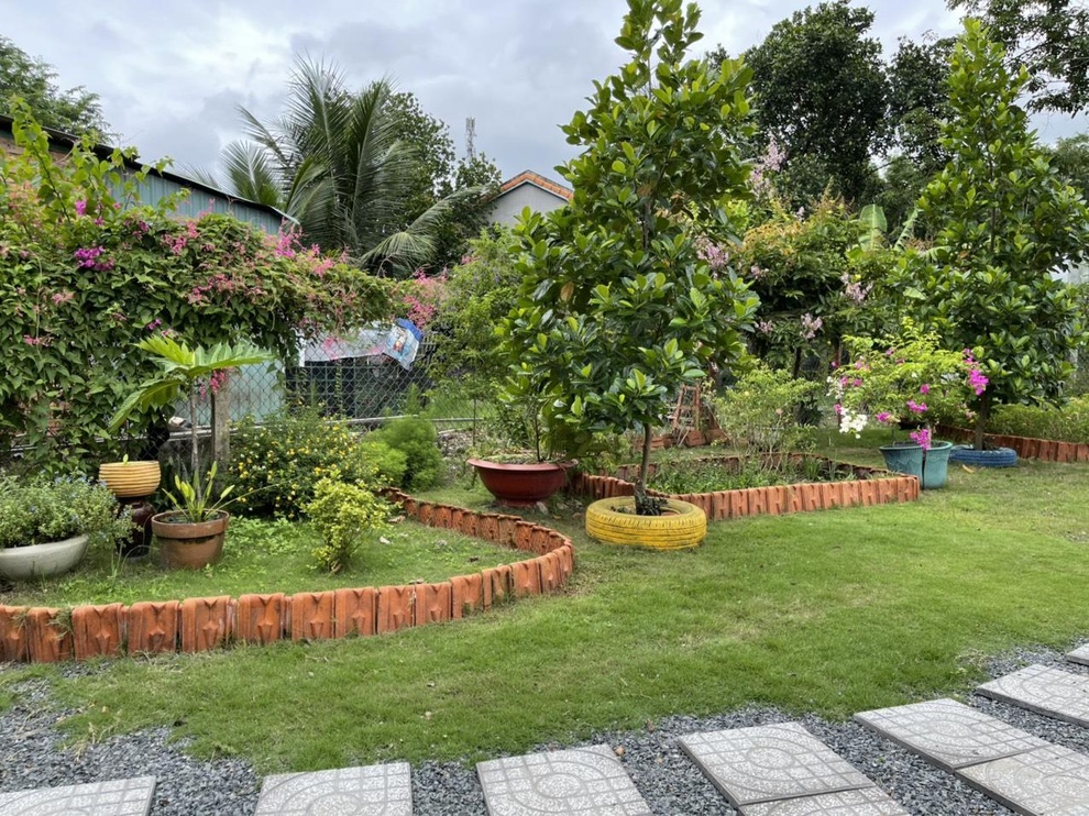 Chi 10 triệu đồng, vợ chồng Bình Dương biến đất cằn thành khuôn viên xanh - 5 Chi 10 triệu đồng, vợ chồng Bình Dương biến đất cằn thành khuôn viên xanh - 5