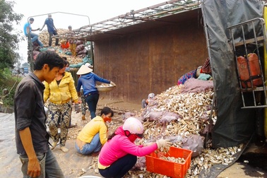 Xe tải nổ lốp nằm “phơi bụng” trên quốc lộ, tài xế thoát nạn