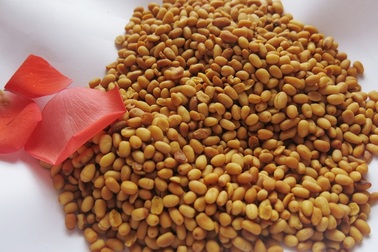 Món đẹp, món ngon từ cây di sản Việt Nam ở Cù Lao Chàm