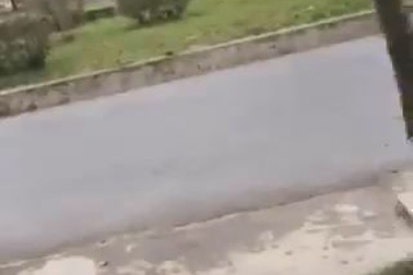 Lò đốt rác xả khói hành dân