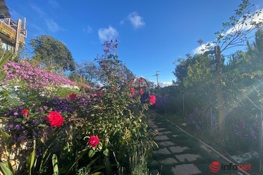 Mua đất làm nhà vườn đẹp, sinh lời "ăn nhau" ở điểm này