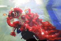 Độc đáo múa lân dưới nước ở Nha Trang