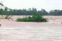 2 chú cháu đi bủa cá trong lũ, bị lật ghe tử vong