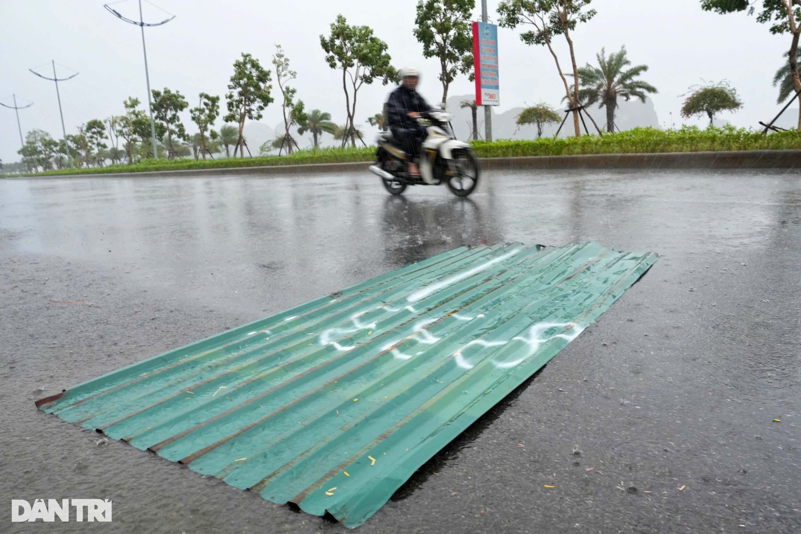 View - Trước giờ bão Yagi đổ bộ Quảng Ninh: Cây xanh gẫy đổ, tôn bay la liệt | Báo Dân trí