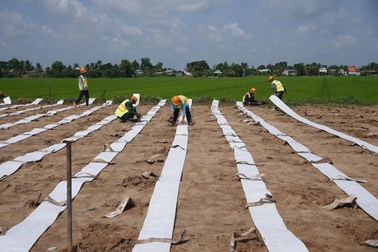 Lễ 2/9, hàng nghìn công nhân vẫn “bám” đại công trường cao tốc miền Tây