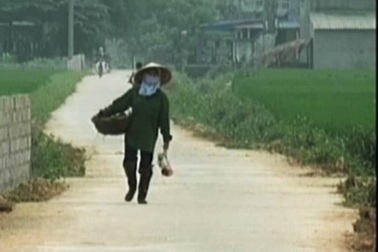 Xử lý nghiêm sai phạm xây đường liên thôn tại Thái Nguyên