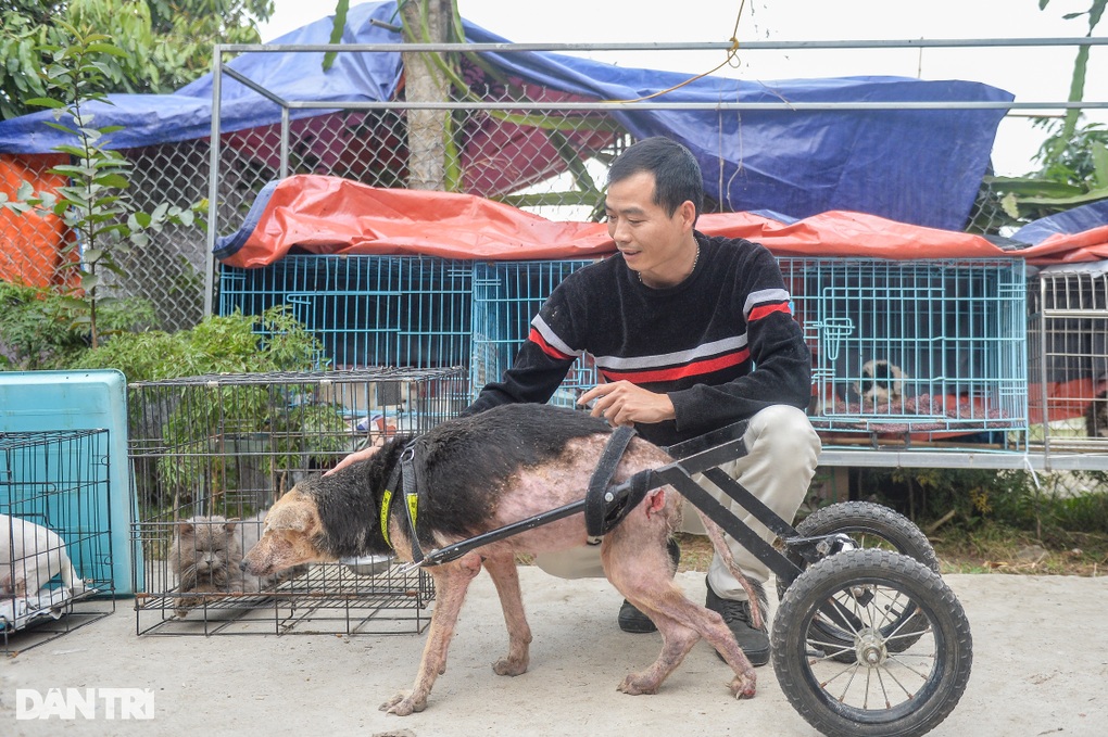 Nơi chăm sóc hàng trăm chú chó, mèo bị bỏ rơi ở Hà Nội - 11