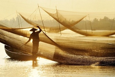 Ảnh của Việt Nam liên tục được vinh danh trên báo Mỹ