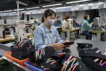 Nhiều doanh nghiệp đã có kế hoạch tuyển dụng thêm lao động