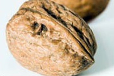 Hạt óc chó - Siêu thực phẩm mới! 