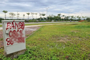 Đất đấu giá tại Mê Linh có dấu hiệu hạ nhiệt?