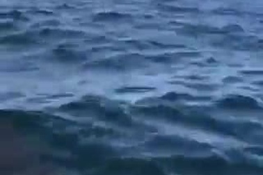 Hai người phụ nữ chèo thuyền kayak suýt bị cá voi lưng gù nuốt chửng