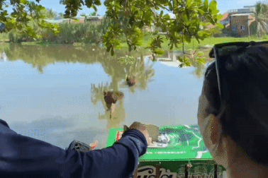 Huế đề xuất cấm mua bán chim phóng sinh trước cửa chùa dịp lễ Vu Lan