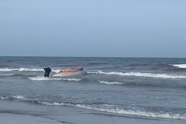 Xác cá voi trôi dạt vào biển Hà Tĩnh