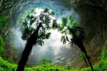 Vì sao rừng cổ đại trong miệng hố sụt khổng lồ phát triển vượt trội hơn?