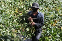 20 năm lên Sài Gòn với khát vọng đổi đời và gia sản 1 triệu đồng trong túi