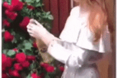 Thư giãn đầu tuần với loạt ảnh động những khoảnh khắc hài hước