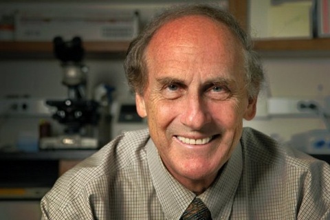 Giải Nobel đầu tiên của năm 2011 bị rơi vào tình thế khó 