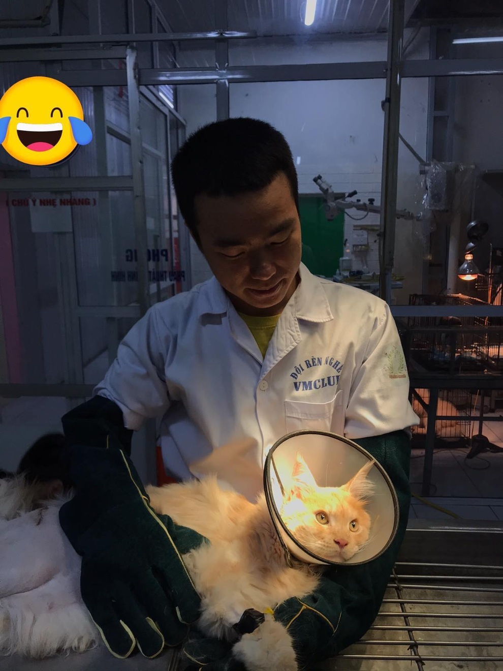 Chàng trai lập tổng đài cứu chữa thú cưng mùa giãn cách xã hội - 4 Chàng trai lập tổng đài cứu chữa thú cưng mùa giãn cách xã hội - 4
