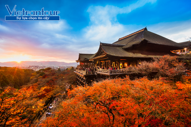 4 điểm đến phải đến vào mùa thu ở Nhật Bản