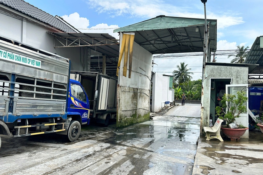 Kiểm tra lò giết mổ heo gia công cho Công ty C.P. Việt Nam tại Hậu Giang - 1