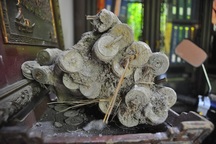 Chiêm ngưỡng kho báu của tỷ phú tiền cổ