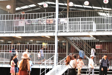 Du khách thích thú xem "cuộc đại trùng tu" Chùa Cầu Hội An