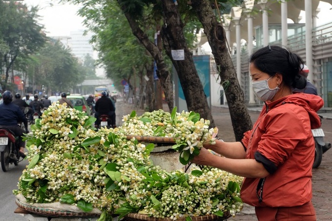 Kiếm bạc triệu nhờ bán hoa theo lạng trên phố Hà Nội - Ảnh 3.