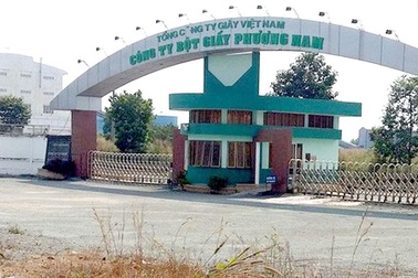 Giá giấy tăng 40% và “đống rác” ba ngàn tỉ