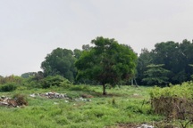 Nam thanh niên tử vong trong tư thế treo cổ tại bãi đất trống