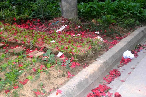 Pháo nổ liên hồi đêm giao thừa gần cầu Phố Mới - Lào Cai