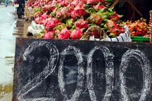 Thanh long Tiền Giang xuống đường 2.000 đồng/kg