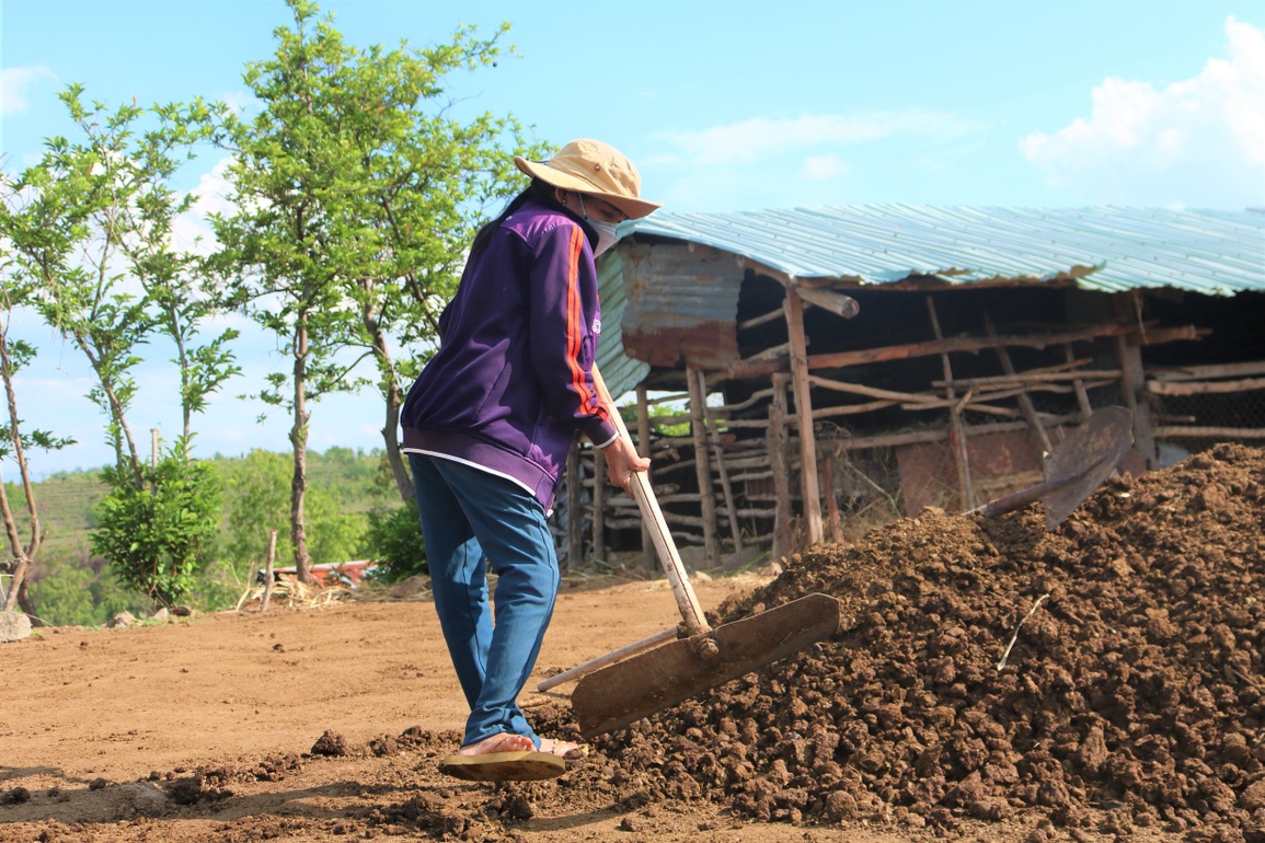 Ngược ngàn lên núi chăn bò thuê, xóm cao bồi thoát khó - 6 Ngược ngàn lên núi chăn bò thuê, xóm cao bồi thoát khó - 6