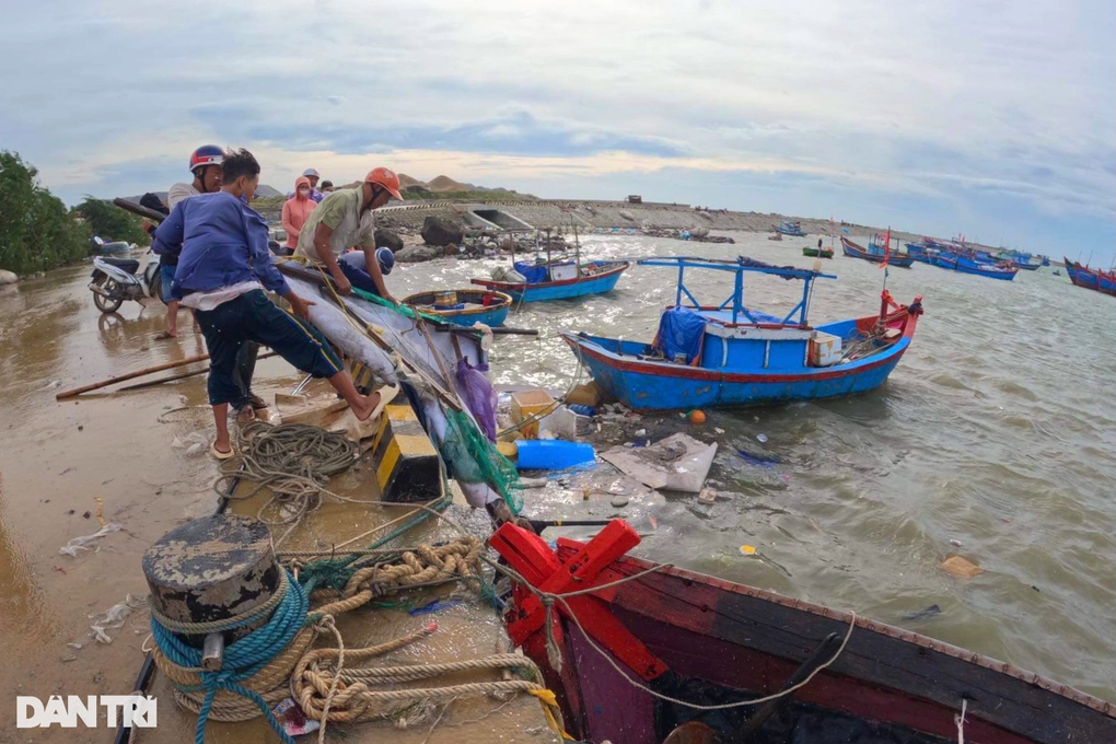 Thủ tướng: Không để dân đói rét, thiếu chỗ ở sau bão - 1 Thủ tướng: Không để dân đói rét, thiếu chỗ ở sau bão - 1