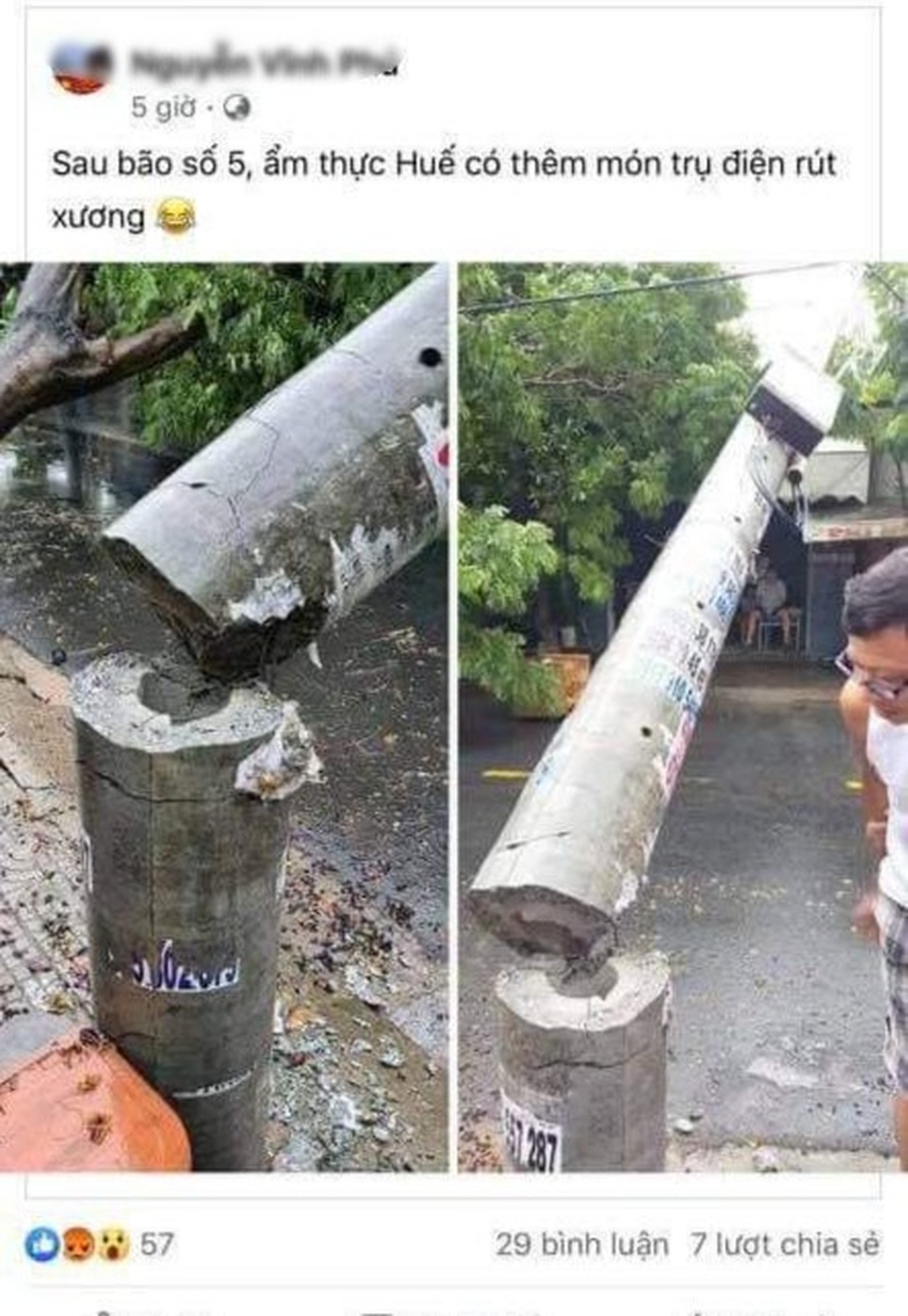 Cần kiểm tra chất lượng cột điện sau vụ hàng trăm cột gãy đổ trong bão - 4 Cần kiểm tra chất lượng cột điện sau vụ hàng trăm cột gãy đổ trong bão - 4