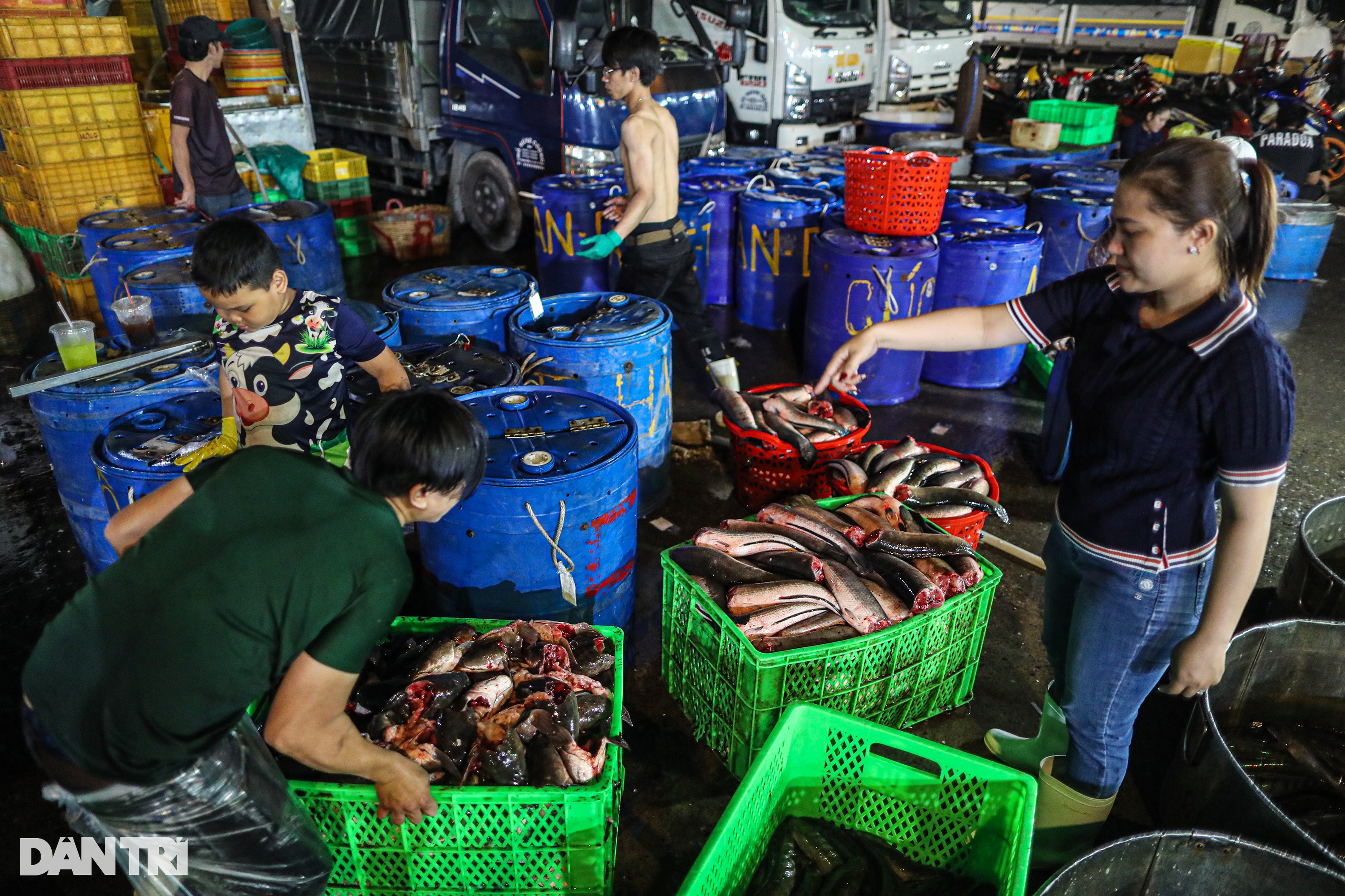 Chợ cá lóc lớn nhất TPHCM tất bật trước ngày vía Thần Tài - 12