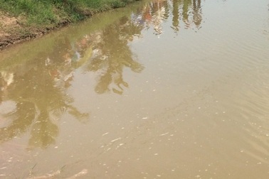 Kẻ trộm đánh chủ vuông tôm tử vong vì bị bắt quả tang