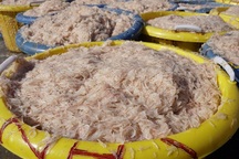 Ngư dân Bình Định kiếm cả chục triệu đồng chỉ vài giờ ra khơi