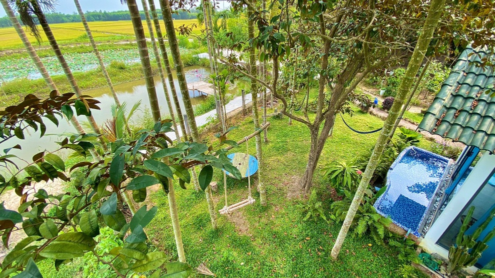 Ngôi nhà xanh mát với ao bạt ngàn sen của chàng kỹ sư - 11